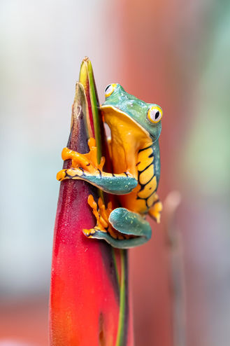 Just hanging on ...