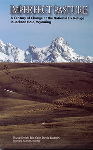 Z Imperfect Pasture cover