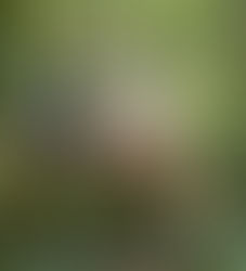 Teens' robot plants trees