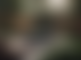 Create a Sustainable Oasis with Our Raintank Installation Services