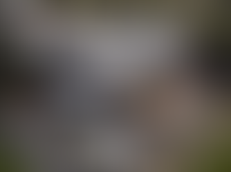 Maximize Water Savings with Our Rainwater Harvesting Services