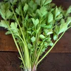 Cutting Celery