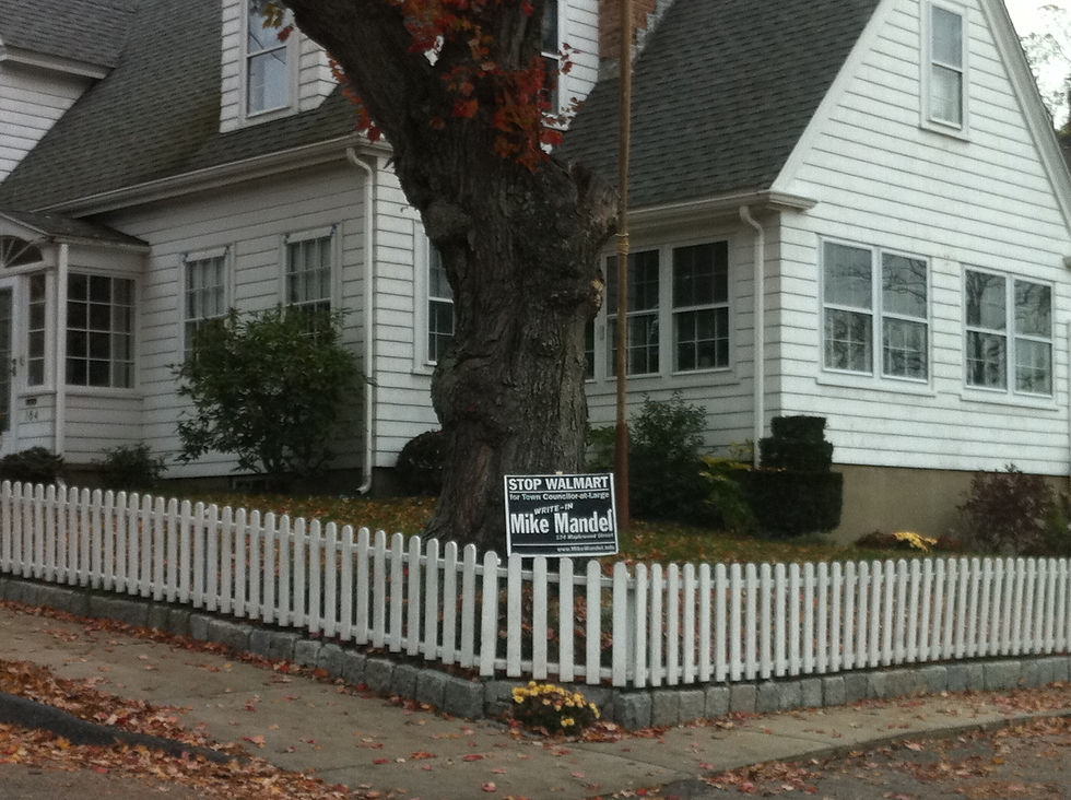 elect Mike Mandel