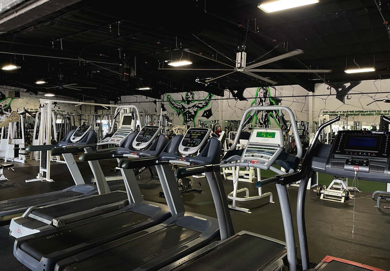 Baytown Species Gym Warehouse Gym Kids conditioning