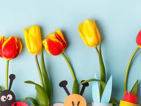 Welcome to our blog!