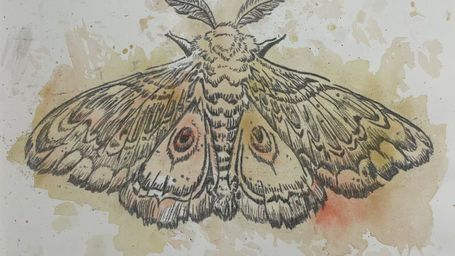 Abby Diamond Response