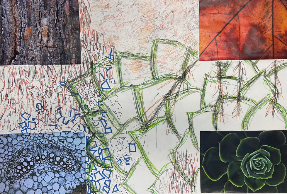 Students Initial Group Visual Mood Board