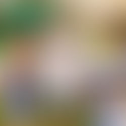 Dikkat dağınıklığına ne iyi gelir diye mi merak ediyorsunuz? Dikkat geliştirmek için oyun ve etkinlik arayışına son verin! Dikkat dağınıklığı nedenlerini anlayın ve otizmli çocuklarda dikkat süresi arttırma yollarını öğrenin. Odaklanma becerisi geliştirmenin anahtarı çocuğunuzun ilgilerinde! Otizmde dikkat geliştirmek ve dikkat setleri tavsiyeleri için makalemizi okuyun. DEHB ilaç desteği ve dikkat eksikliği hiperaktivite ilaç hakkındaki ön yargıları da ele alıyoruz.