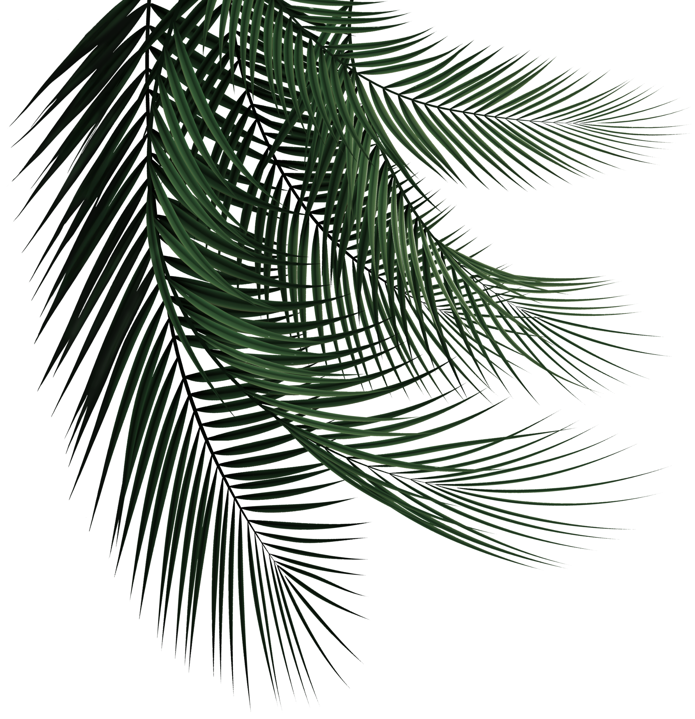feuille-murale-full.png