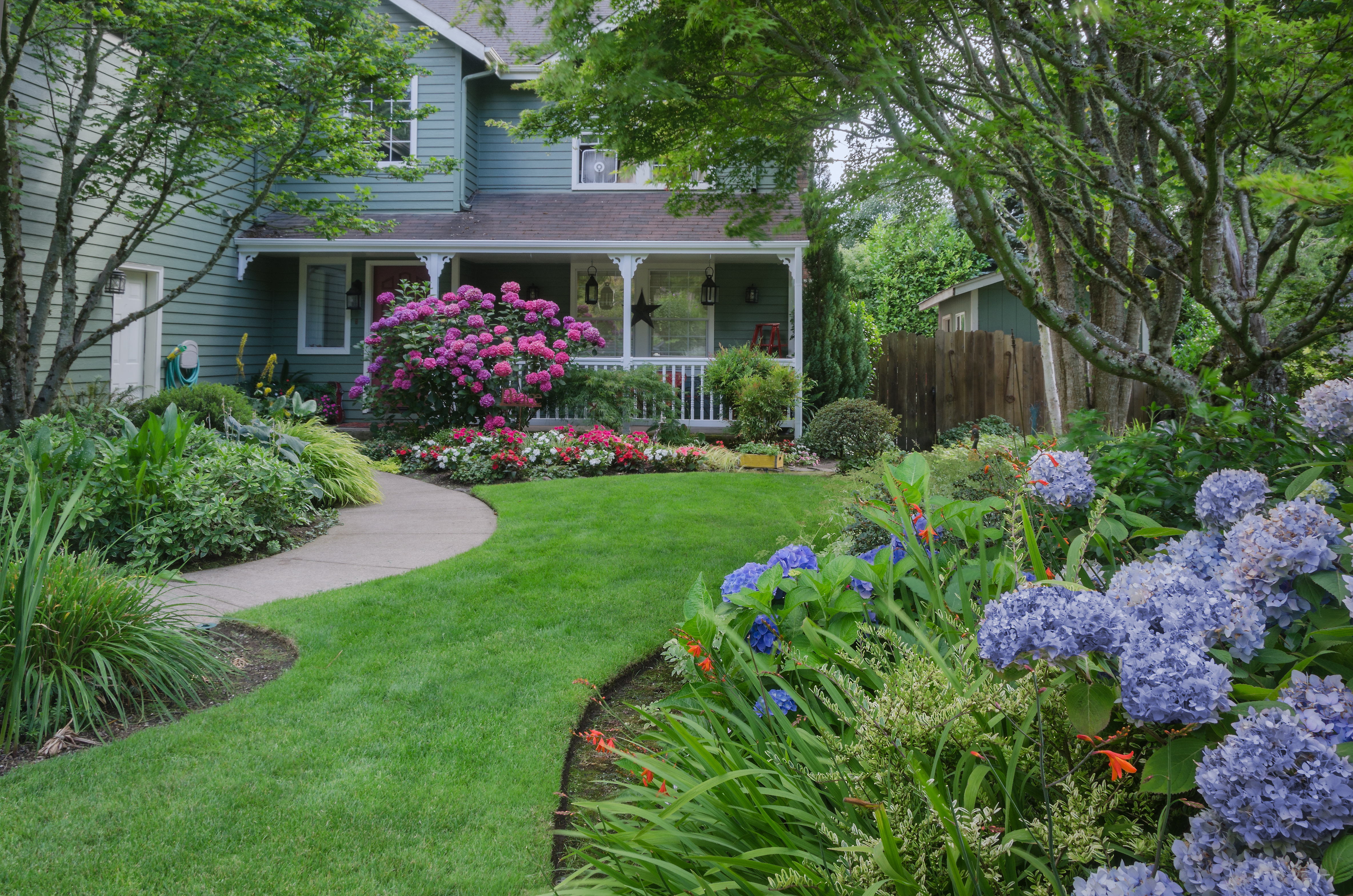Small Yard or Lot