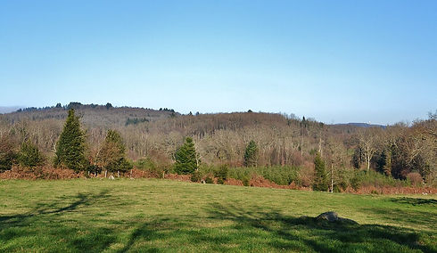 patrimoine-2.jpg