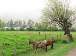 Aventura