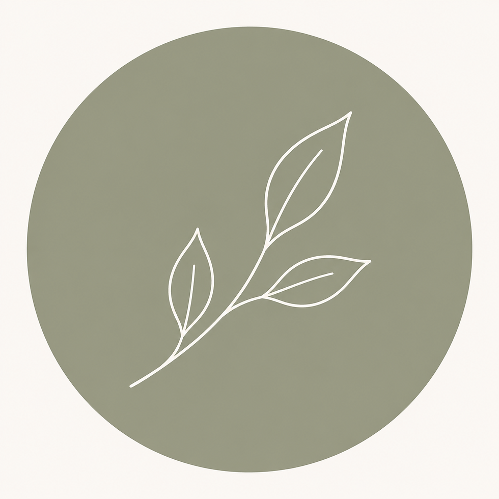 Codex Image Sep 10, 2026, 01_18_40 AM.png