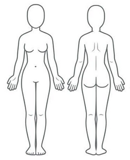 3.webp
