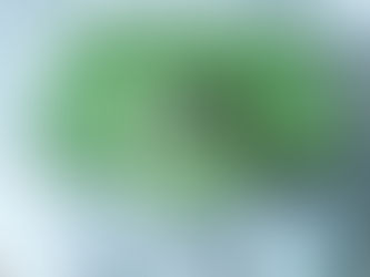 シトラスローズミニ6再ストック致しました