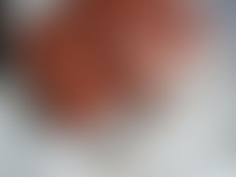 ミニ6 アンティークダークキャメル ベルト付き
