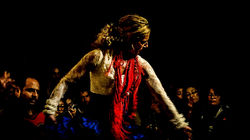 MANI VALENCIA FLAMENCO 15 (1024x576).jpg