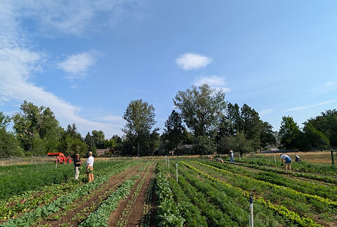 PXL_20260811_145836281.jpg
