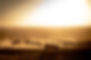 off-road-cars-at-the-glamis-sand-dunes_t