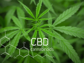 CBD: Is it the Magic Pill?