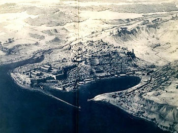 Olio Bio., olio evo., extarvergine di oliva., Riserva naturale del belice., Parco Archeologico Selinunte., olive da Mensa., Condimenti., Patè., Pomodori secci., marmellata., fichi mandarini limoni arance., il tempio dell'olio., Azienda Agricola Casamento.,