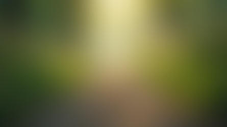 Understanding the Importance of Mental Health Support