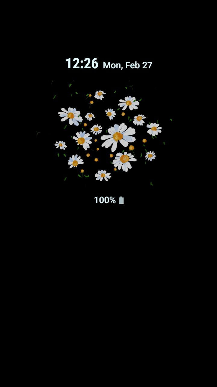 섬네일: Flying Daisy