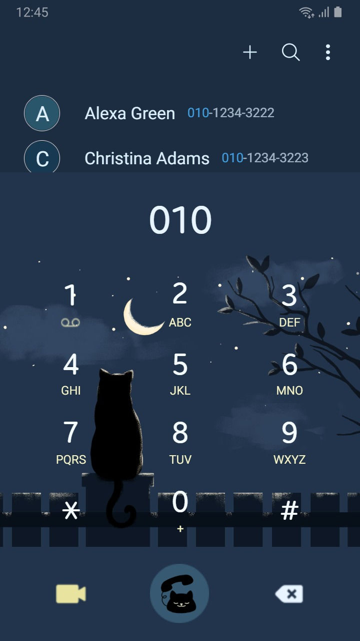 Thumbnail: Black Cat Under The Moon