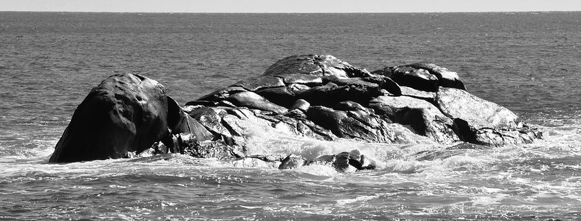 Channel Rock, our namesake