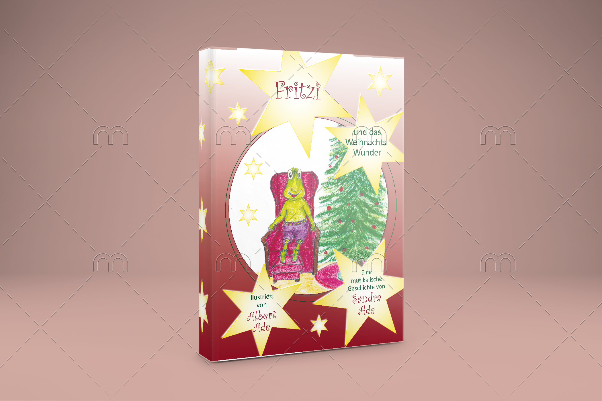 Fritzi und das Weihnachtswunder BUCH