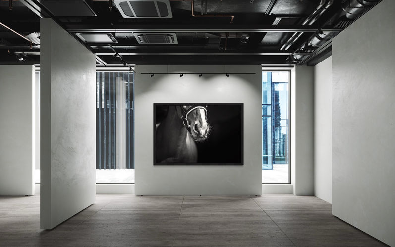 Equine Fine Art Photography Prints - Horse Photographer