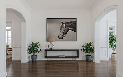 Black and white fine art horse portrait for luxury wall art
