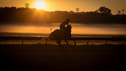 Timeless fine art horse photography