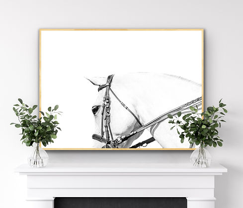 Black and white fine art horse portrait for luxury wall art