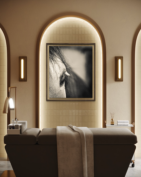 Black and white fine art horse portrait for luxury wall art