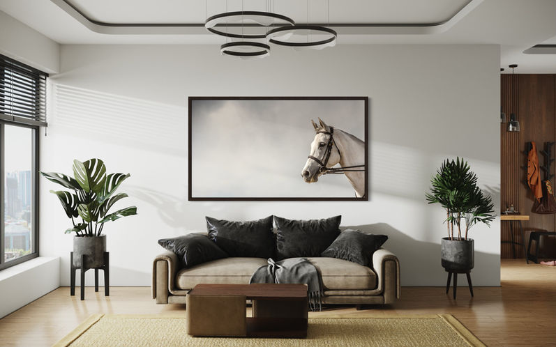 Equine Fine Art Photography Prints - Horse Photographer