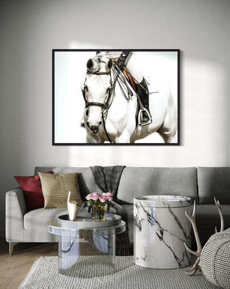 Equine Fine Art Photography Prints - Horse Photographer