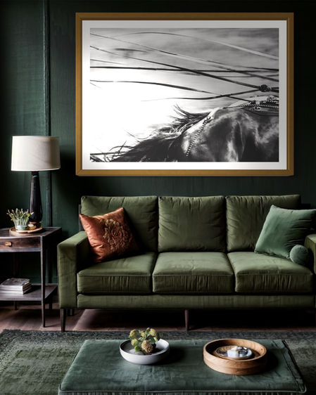 Equine Fine Art Photography Prints - Horse Photographer