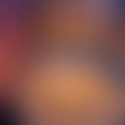 Explorando la sabiduría de mis maestros espirituales