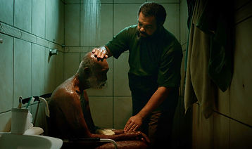 09-12 Curtas 3 - filme 1 - Arapuca.jpeg