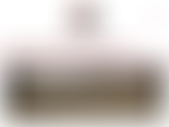 Valdība nedrīkst akceptēt VES “Kurzeme” darbību, kamēr nav pieņemti nozari regulējošie normatīvie akti