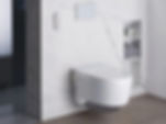 Dusch-WC