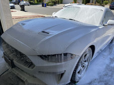 IMG_8998.JPEG