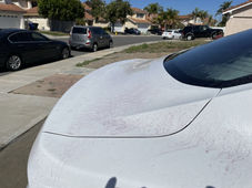 IMG_8986.JPEG