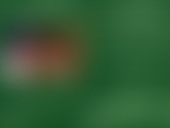 🌿 Growth, Muddy Moments & Meaningful Conversations