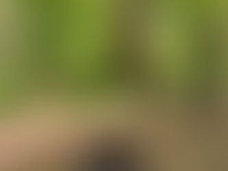 Growing, Connecting and Looking Ahead