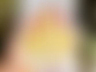 BOOK REVIEW | A SEEKER'S SRIMAD BHAGAVAD GITA | VISHWANATH IYER