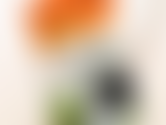 BOOK REVIEW | THE BOY WHO BECAME THE MAHATMA | RAJESH TALWAR