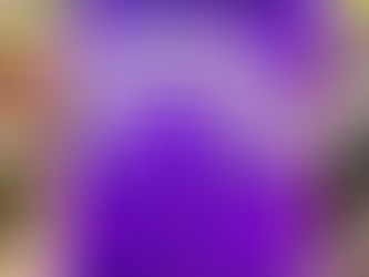 Sameer Gudhate presents the Book Review of Follow Every Rainbow by Rashmi Bansal