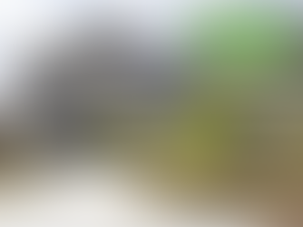 Langnau am Albis: Langmoos 